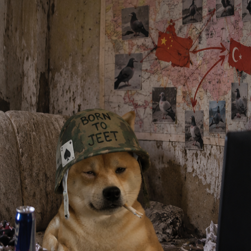 Dog in a damaged bunker with a war strategy map
